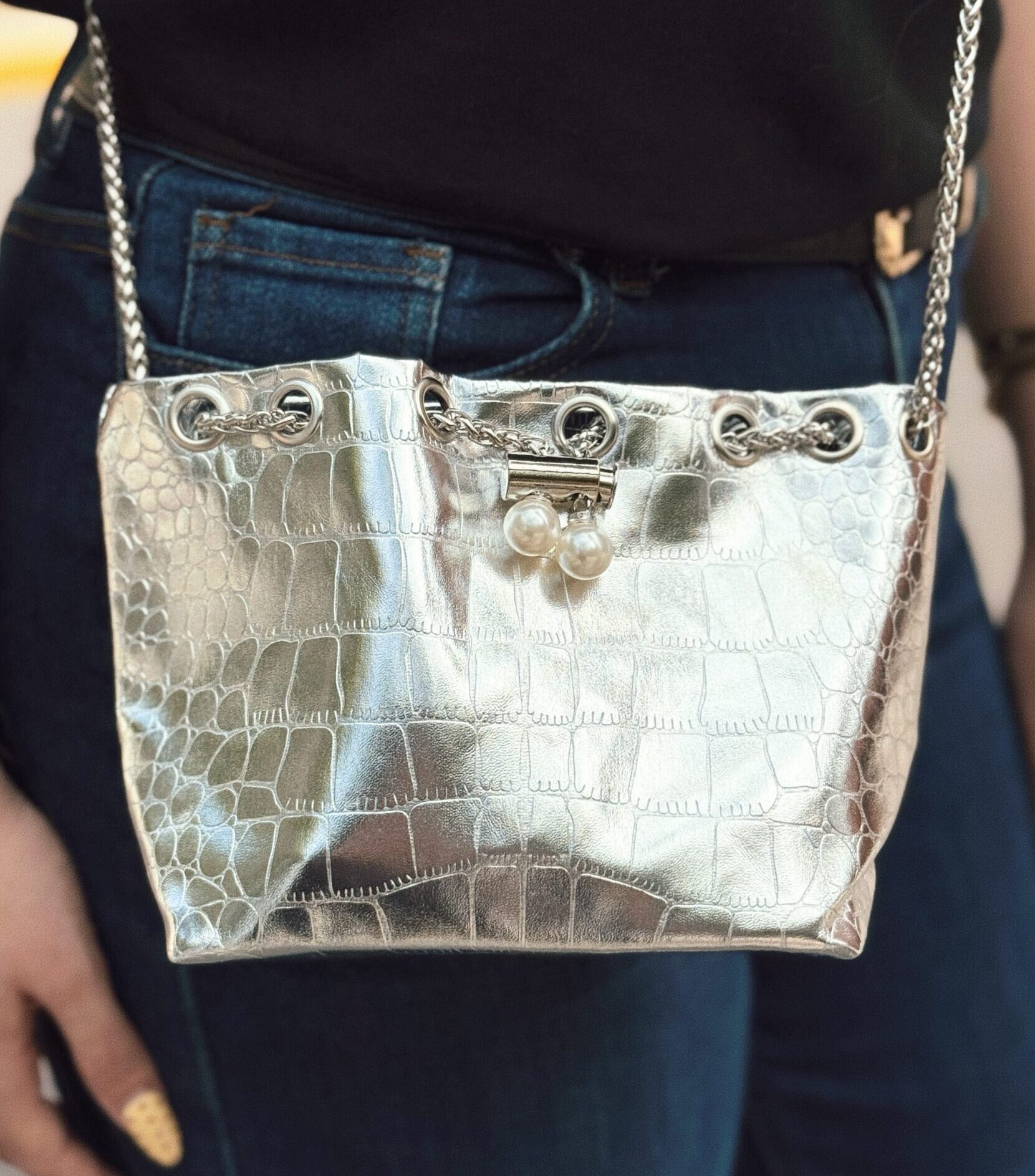 Cartera Plateada